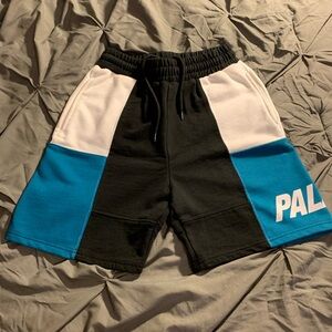 Palace Colorblock Shorts